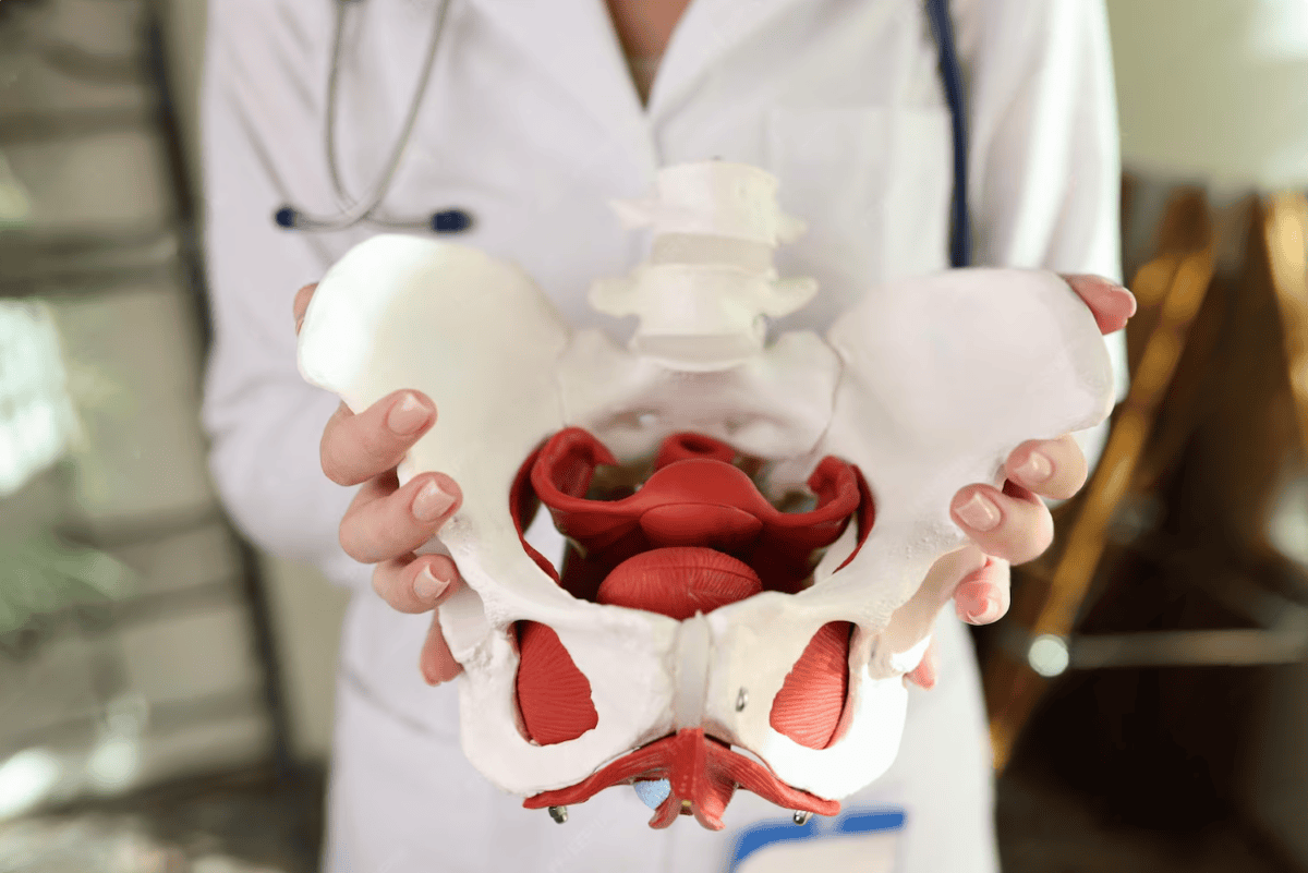 Historie a vývoj terapie pánevního dna pomocí perineální magnetické stimulace